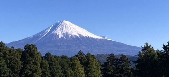 IMG_7523[4880]2